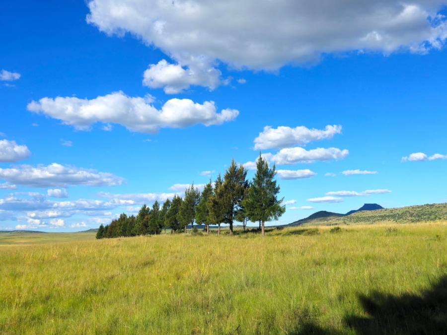 Commercial Property for Sale in Ladybrand Free State